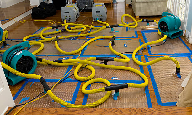 Professional Basement Flood Cleanup technician working in Ross, CA